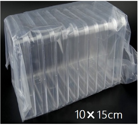 Rectangular Petri dish